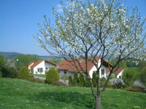 Detached single-storey bungalow with south-facing terrace